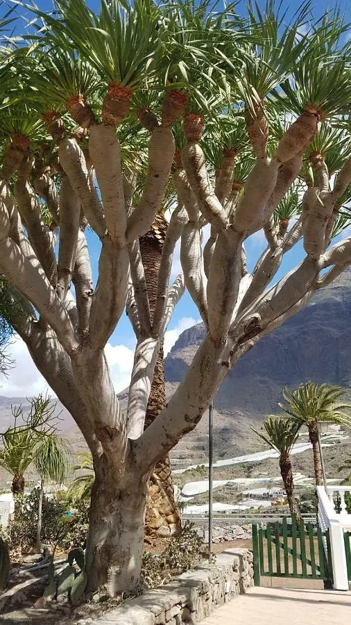 Villa de Cactualdea San Nicolás España