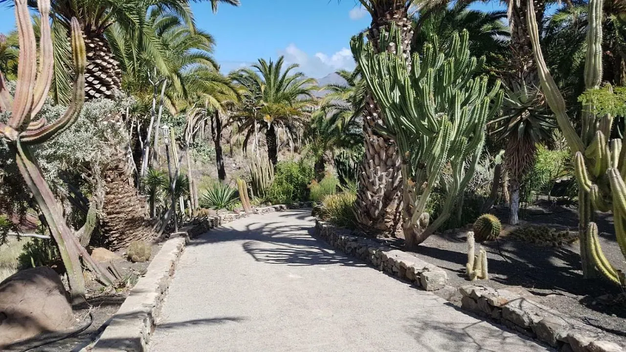 Сasa de vacaciones Villa de Cactualdea San Nicolás España