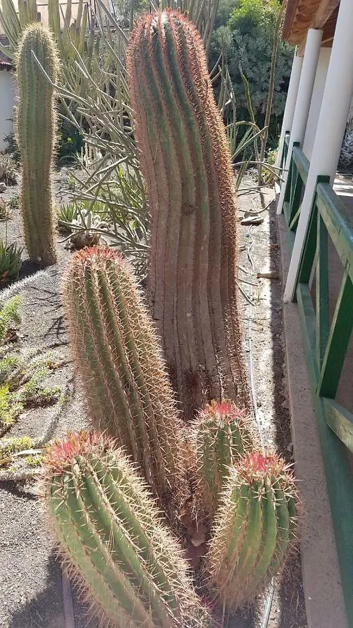Villa de Cactualdea San Nicolás 0*,  España